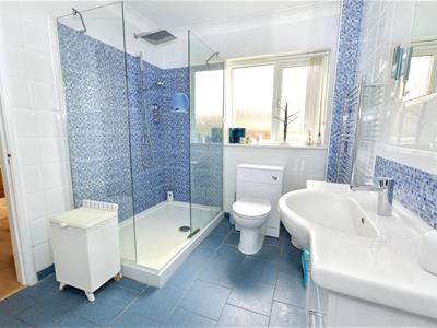 Picture 7